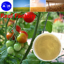 Acides aminés de source végétale 40% -60% -80% avec 18 genres d&#39;acide aminé